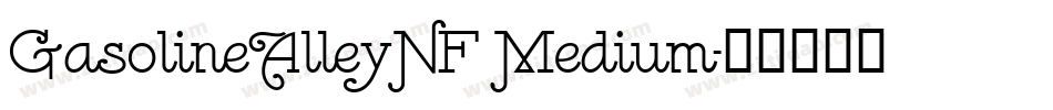 GasolineAlleyNF Medium字体转换
